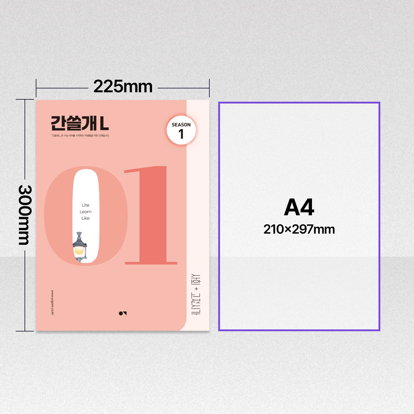 간쓸개 L PACK